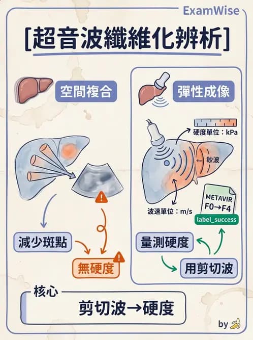 放射 - 超音波進階成像與假影 - AI 圖文解析預覽