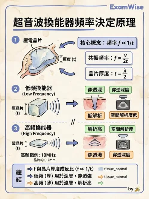 放射 - 超音波物理與系統原理 - AI 圖文解析預覽