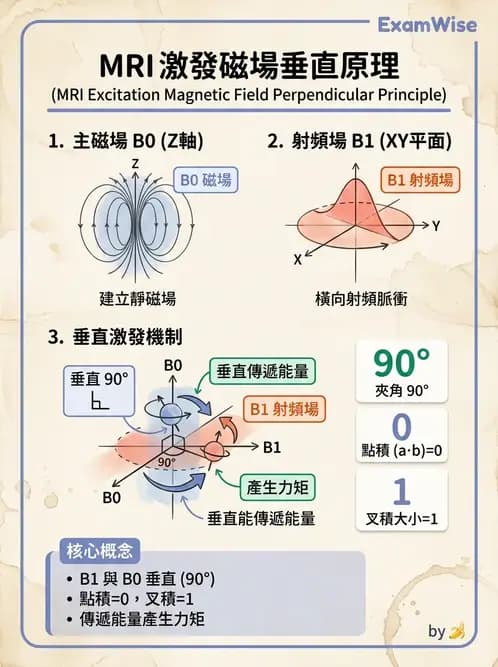 放射 - 射頻系統與線圈 - AI 圖文解析預覽