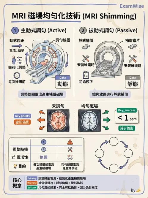 放射 - 主磁場、磁鐵類型與勻場 - AI 圖文解析預覽