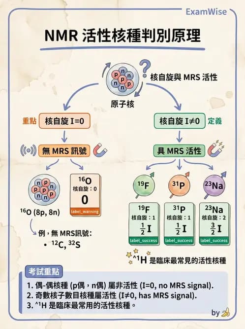 放射 - 射頻系統與線圈 - AI 圖文解析預覽
