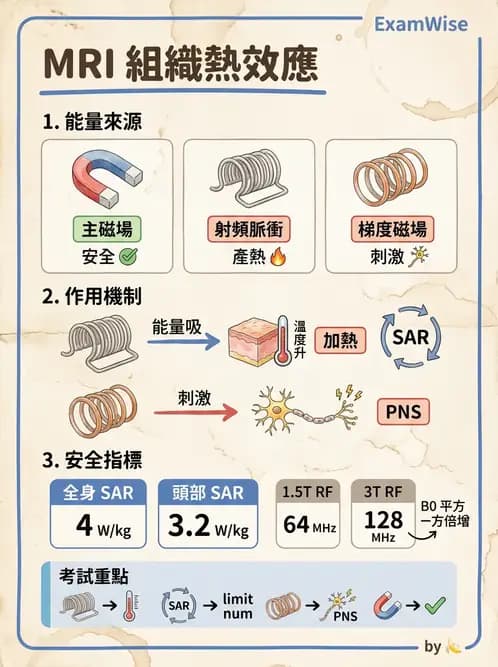 放射 - 品質管制與安全規範 - AI 圖文解析預覽