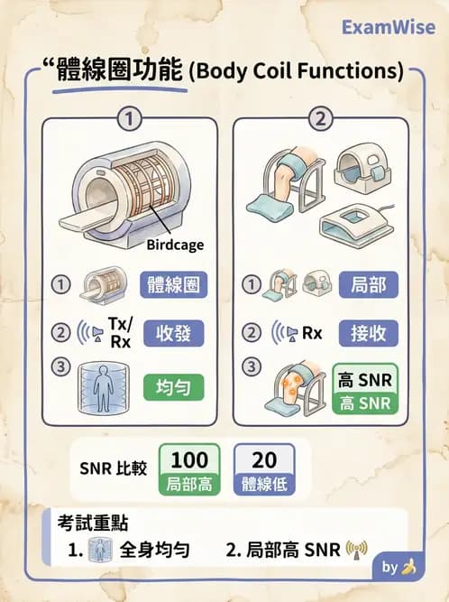 放射 - 射頻系統與線圈 - AI 圖文解析預覽