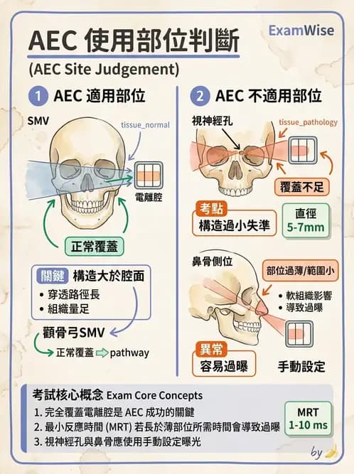 放射 - 曝光參數與散射線控制 - AI 圖文解析預覽
