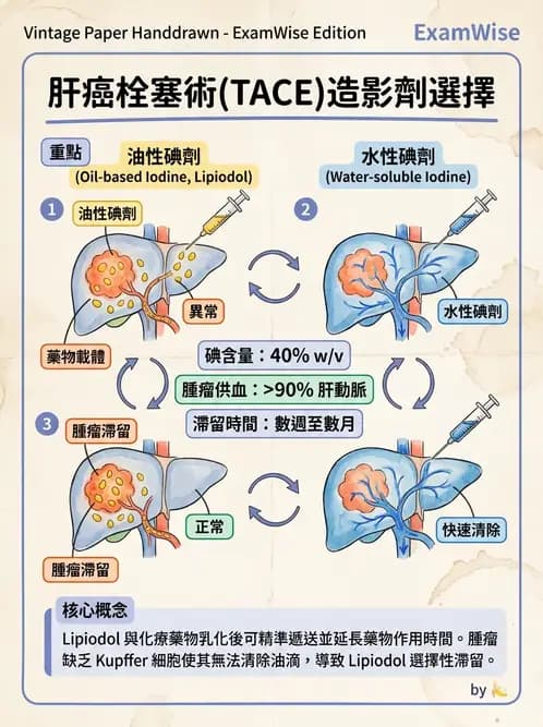放射 - 導管技術與介入性治療 - AI 圖文解析預覽