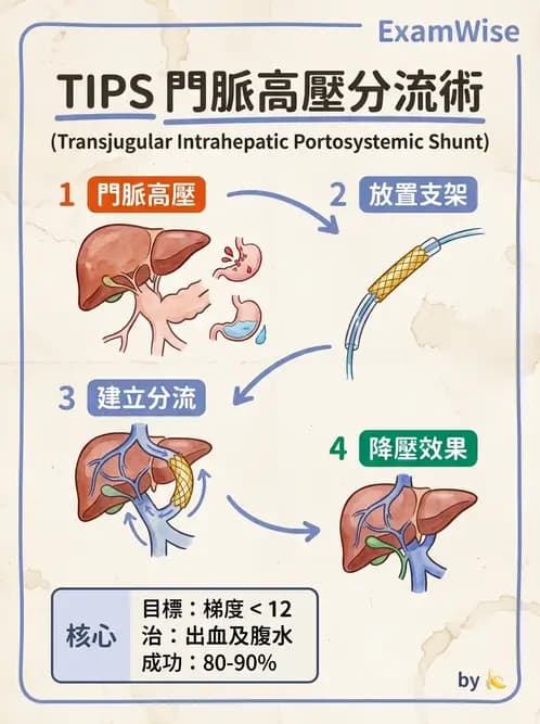 放射 - 導管技術與介入性治療 - AI 圖文解析預覽