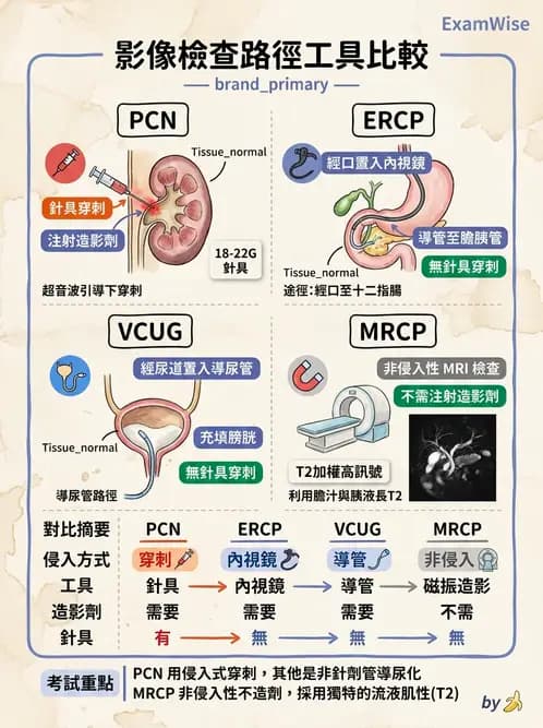 放射 - 導管技術與介入性治療 - AI 圖文解析預覽