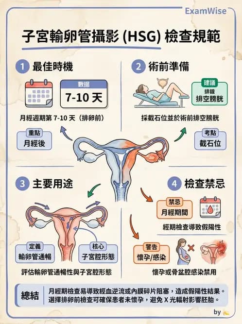 放射 - 泌尿生殖攝影 - AI 圖文解析預覽