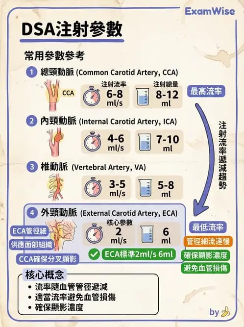 放射 - 血管攝影原理與解剖 - AI 圖文解析預覽