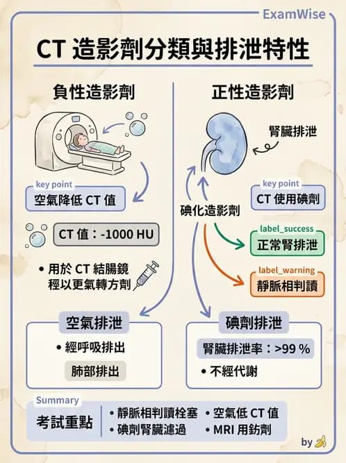 放射 - CTA與CT影像技術應用 - AI 圖文解析預覽