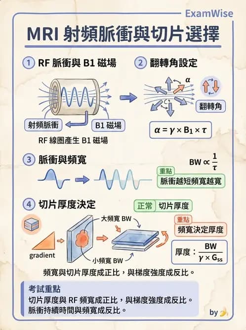 放射 - MRI脈衝序列與訊號技術 - AI 圖文解析預覽