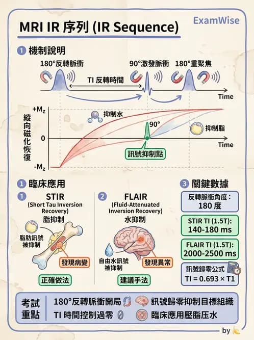 放射 - MRI脈衝序列與訊號技術 - AI 圖文解析預覽