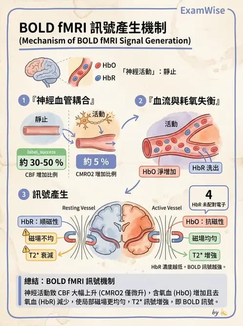 放射 - MR進階影像與臨床應用 - AI 圖文解析預覽