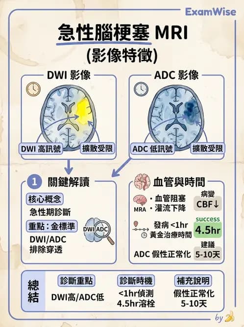 放射 - MR進階影像與臨床應用 - AI 圖文解析預覽