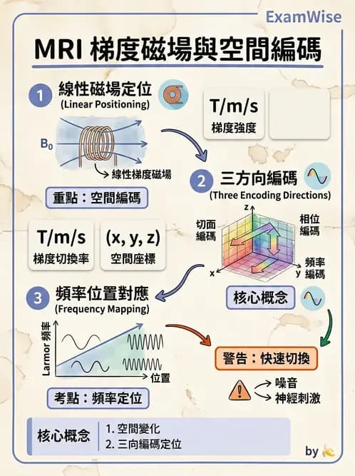 放射 - 磁振造影原理 - AI 圖文解析預覽