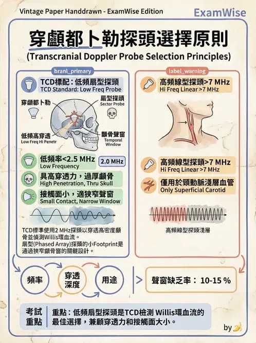 放射 - 腎臟血管與其他超音波 - AI 圖文解析預覽