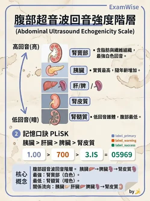 放射 - 超音波物理與技術 - AI 圖文解析預覽