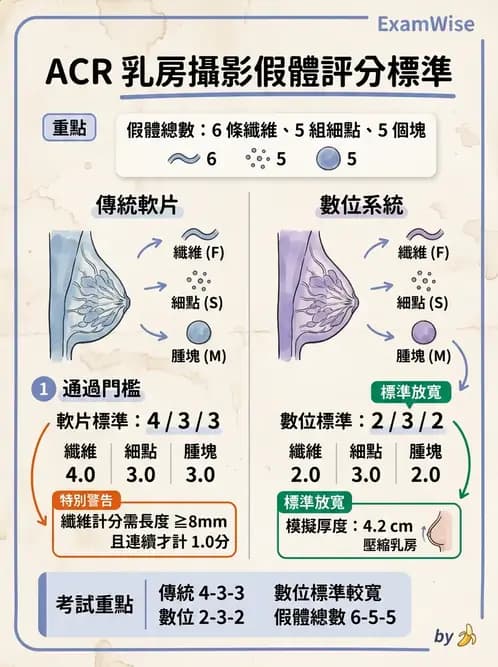放射 - 乳房攝影與其他特殊檢查 - AI 圖文解析預覽
