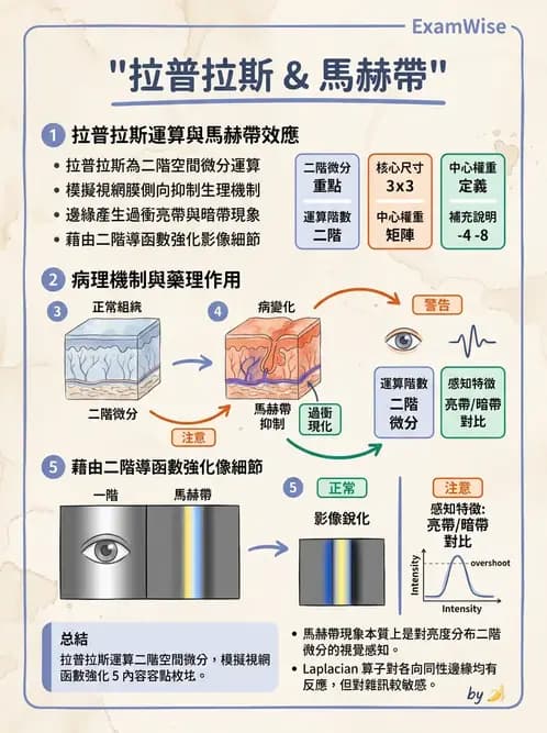 放射 - 數位影像原理與處理技術 - AI 圖文解析預覽