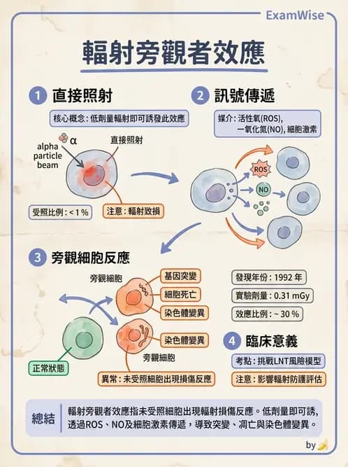 放射 - 輻射致癌與遺傳效應 - AI 圖文解析預覽
