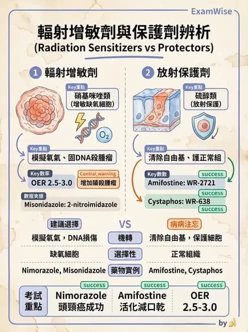 放射 - 輻射增敏與保護 - AI 圖文解析預覽