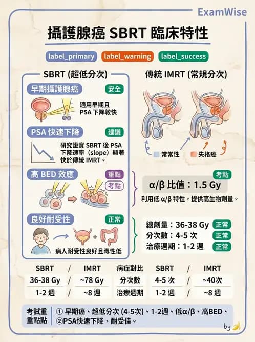 放射 - 立體定位軀體放射治療(SBRT) - AI 圖文解析預覽