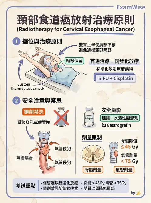放射 - 疾病部位計畫與危急器官保護 - AI 圖文解析預覽