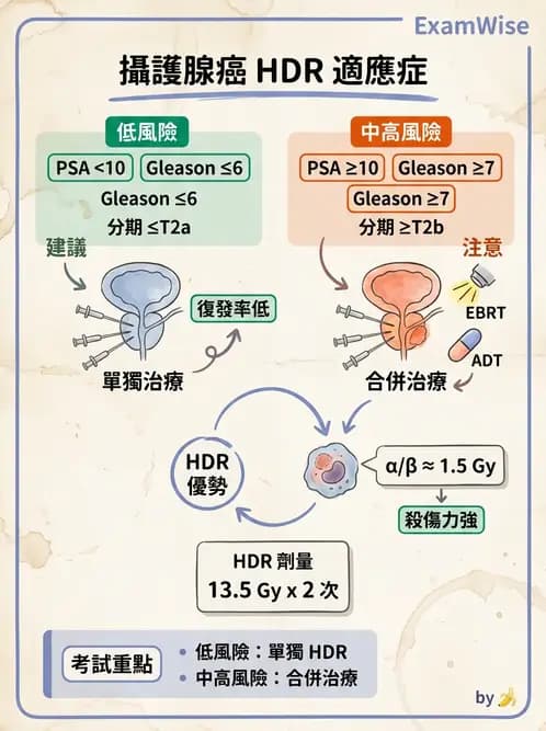 放射 - 插種近接治療 - AI 圖文解析預覽