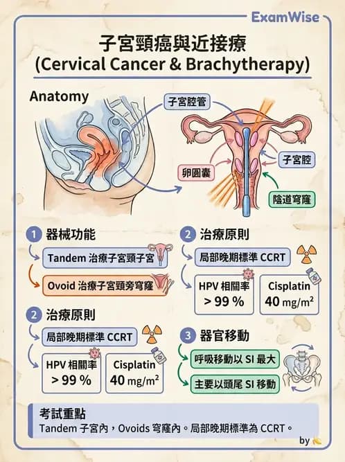 放射 - 腔內近接治療 - AI 圖文解析預覽