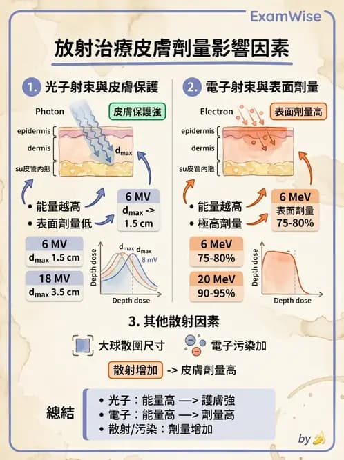 放射 - 劑量增建、散射因子與假體量測 - AI 圖文解析預覽