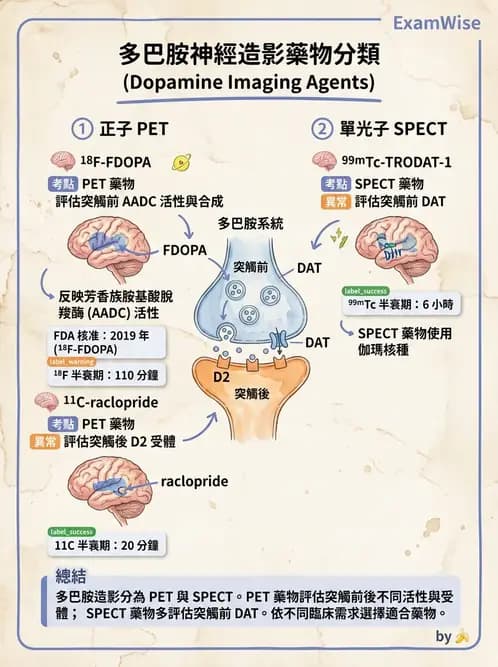 放射 - 腦神經PET藥物 - AI 圖文解析預覽