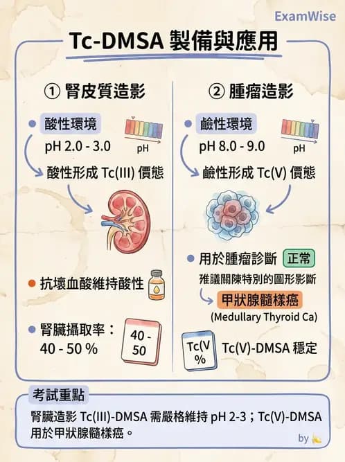 放射 - 腎臟造影SPECT藥物 - AI 圖文解析預覽
