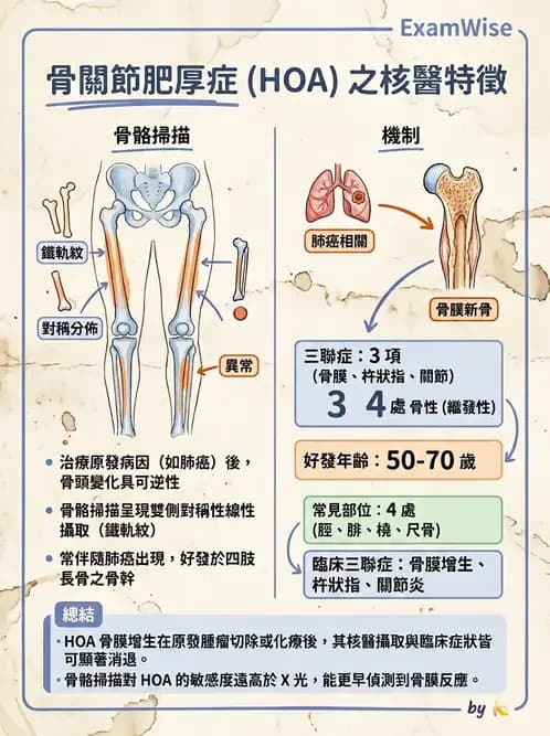 放射 - 骨骼造影 - AI 圖文解析預覽