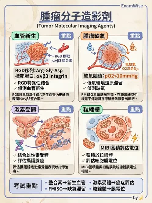 放射 - 腫瘤PET藥物 - AI 圖文解析預覽