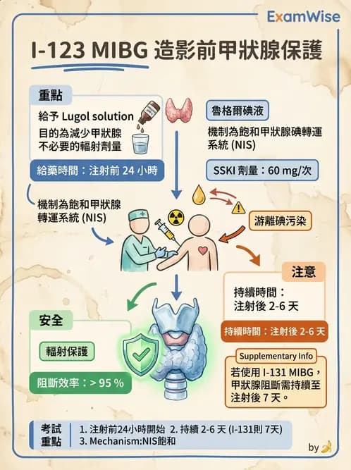 放射 - 標靶受體腫瘤造影 - AI 圖文解析預覽