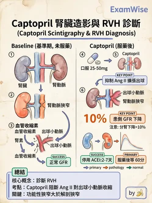 放射 - 腎臟造影 - AI 圖文解析預覽