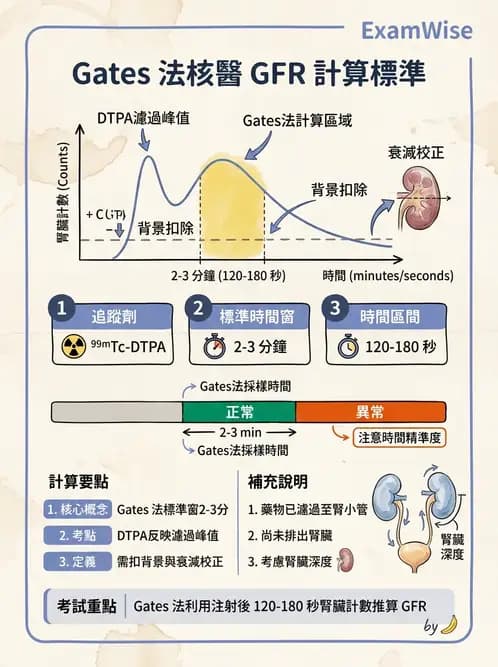 放射 - 腎臟造影 - AI 圖文解析預覽