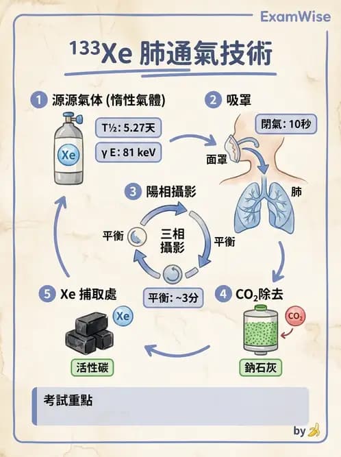 放射 - 肺部與感染造影 - AI 圖文解析預覽