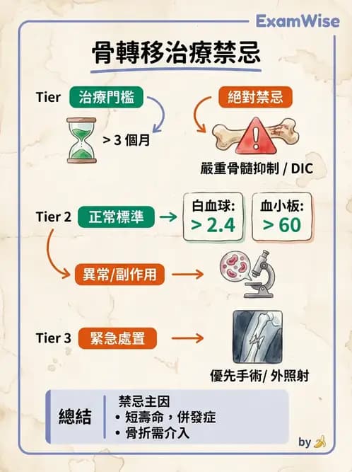 放射 - 腫瘤治療 - AI 圖文解析預覽