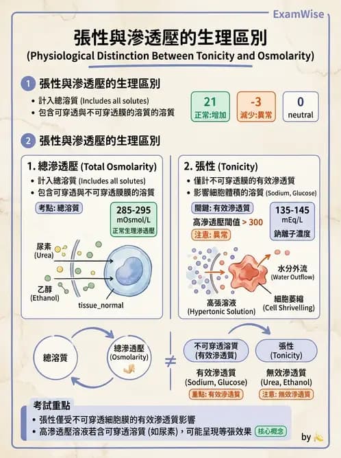 放射 - 細胞生理 - AI 圖文解析預覽