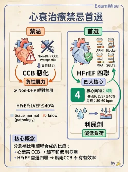 放射 - 心血管生理 - AI 圖文解析預覽