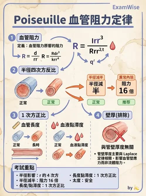 放射 - 心血管生理 - AI 圖文解析預覽