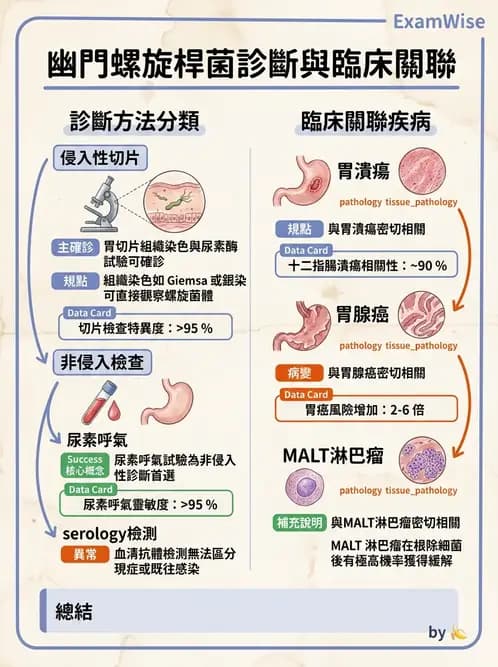 放射 - 口腔及腸胃道疾病 - AI 圖文解析預覽