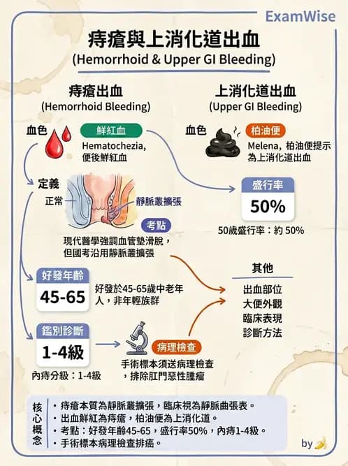 放射 - 口腔及腸胃道疾病 - AI 圖文解析預覽