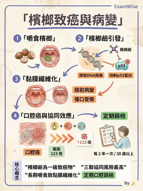 放射 - 口腔及腸胃道疾病 - AI 圖文解析預覽