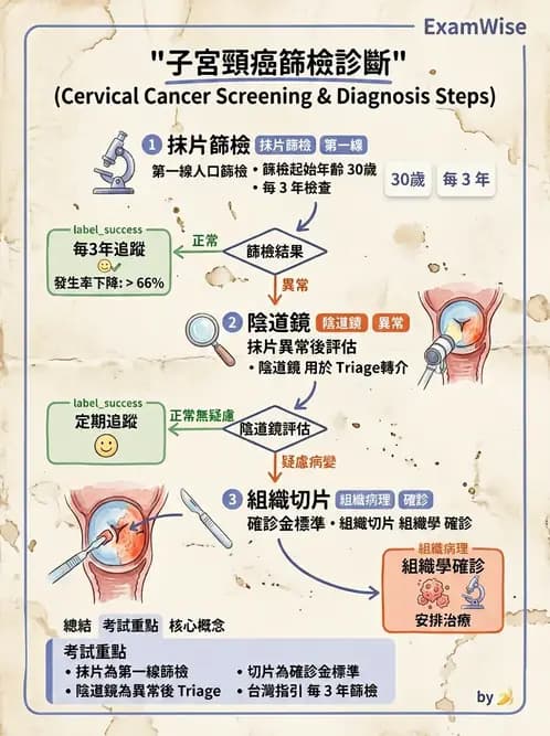 放射 - 生殖系統及乳房疾病 - AI 圖文解析預覽
