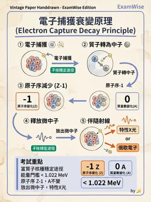 放射 - 放射性蛻變模式 - AI 圖文解析預覽