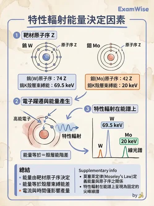 放射 - X光產生與特性 - AI 圖文解析預覽