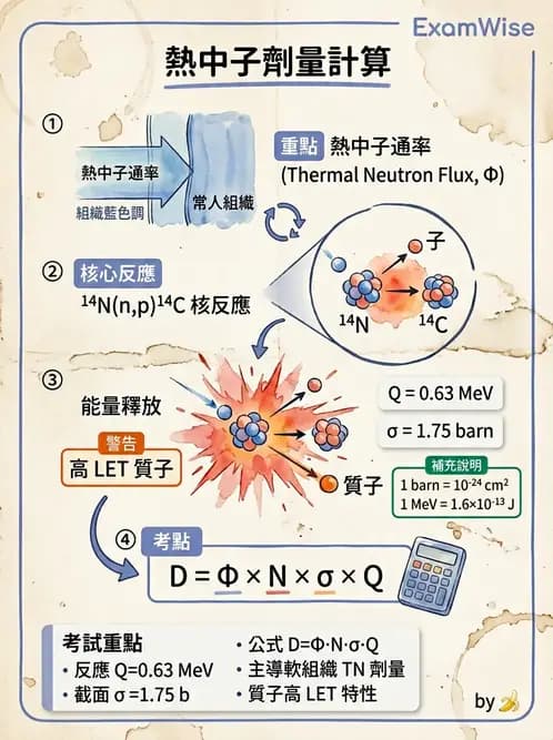 放射 - 帶電粒子與中子和物質作用 - AI 圖文解析預覽