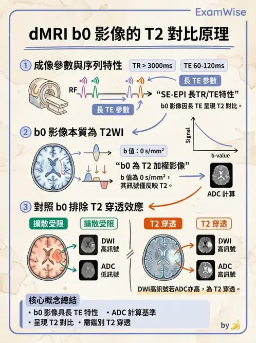 放射 - 空間編碼與影像品質 - AI 圖文解析預覽